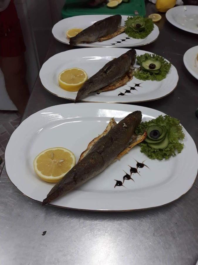 Pensiunea Scoika Steaguri Neptun Kültér fotó